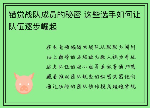 错觉战队成员的秘密 这些选手如何让队伍逐步崛起